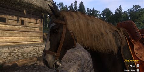 warhorse jenda|Kingdom Come Deliverance: Best Mounts And Where .